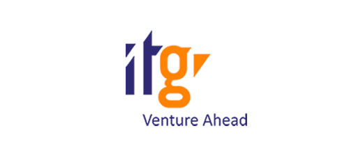 IT Group, Inc.